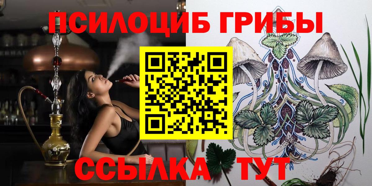 Галлюциногенные грибы Psilocybe  Вход с VPN  Верхний Уфалей 