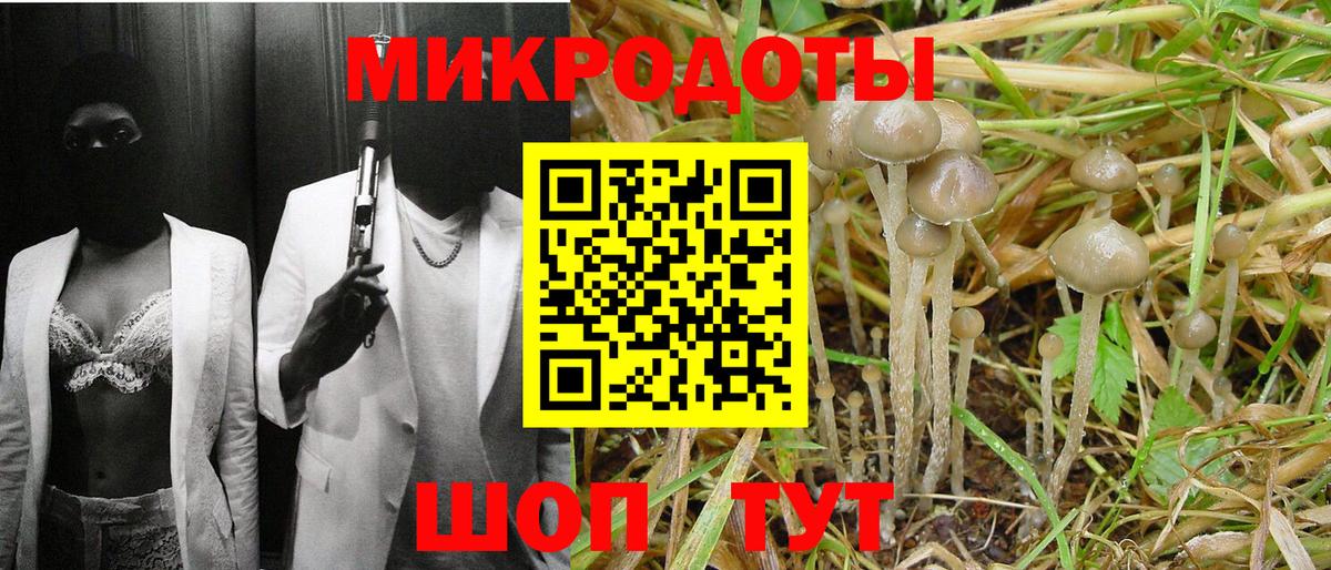 Галлюциногенные грибы GOLDEN TEACHER Верхний Уфалей